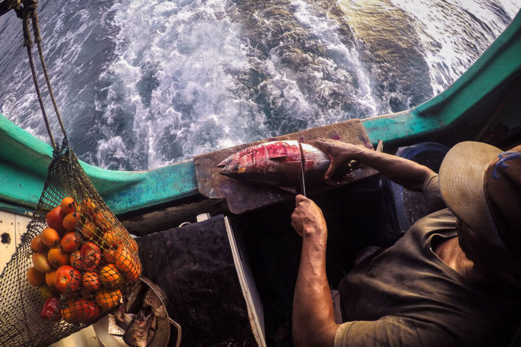 Tres ideas para cambiar a colombia, por william ospina