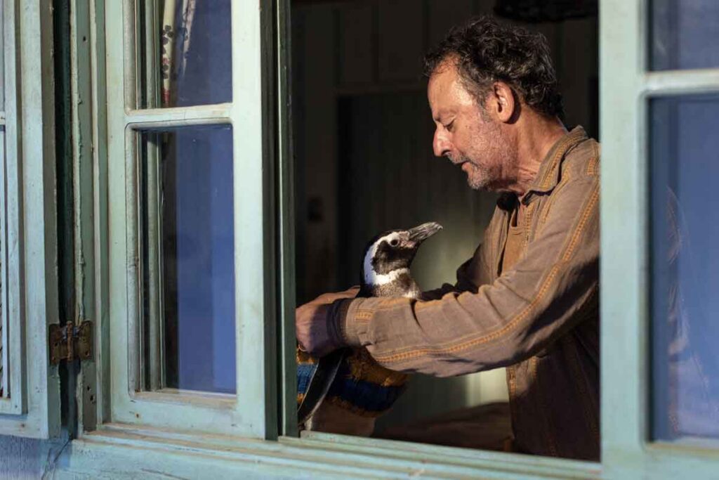 Robin jonas: "las mujeres somos fuertes, y moveremos la aguja en el cine" Mi amigo el pingüino