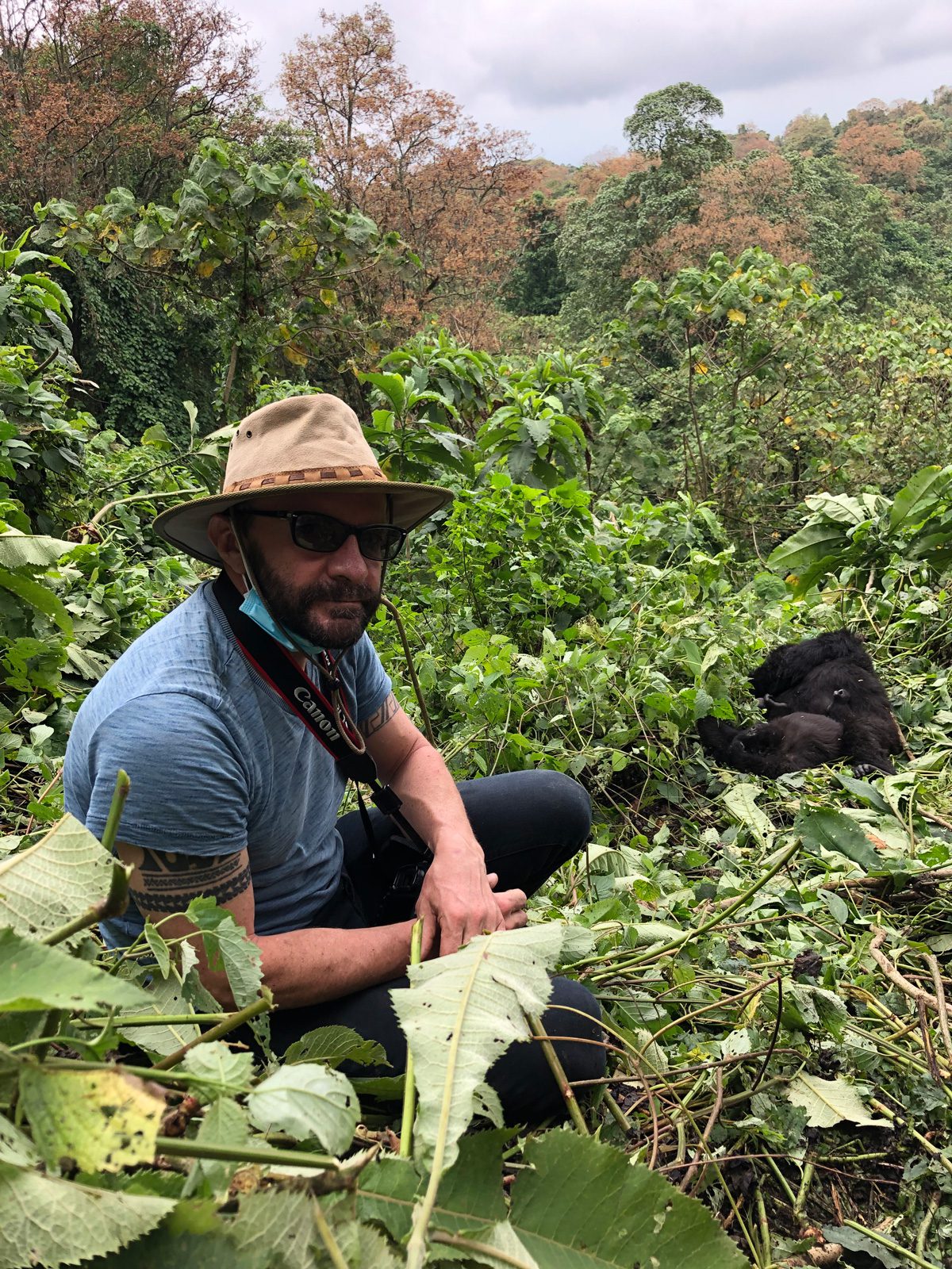 La emocionante y dolorosa aventura de pirry en áfrica