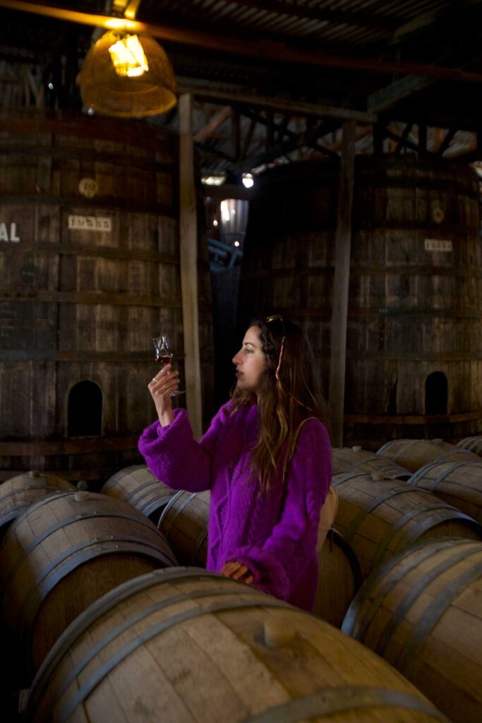 Un viaje en carretera por coquimbo: el secreto mejor guardado de chile donde se descubren las estrellas Un viaje en carretera por coquimbo: el secreto mejor guardado de chile donde se descubren las estrellas