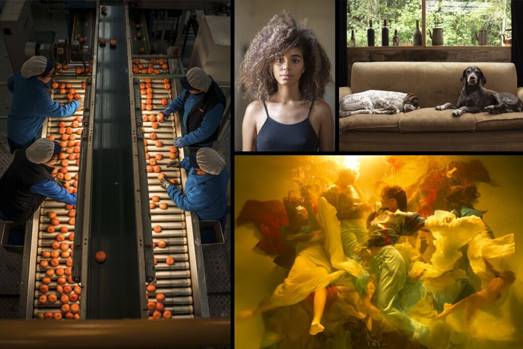 Galería: las fotos ganadoras de los premios sony world photography 2019 llegarán a medellín Fotos