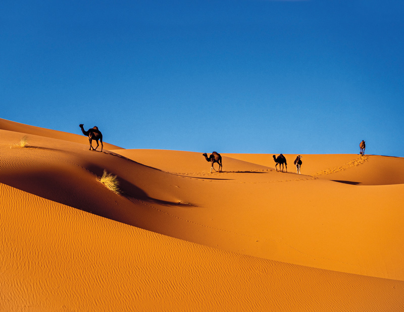 5 recetas para probar los sabores típicos de marruecos e india Recetas