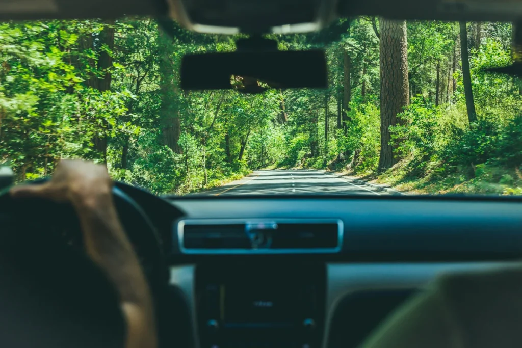 Guía para viajar por carretera durante el aislamiento selectivo en colombia Viajar por carretera