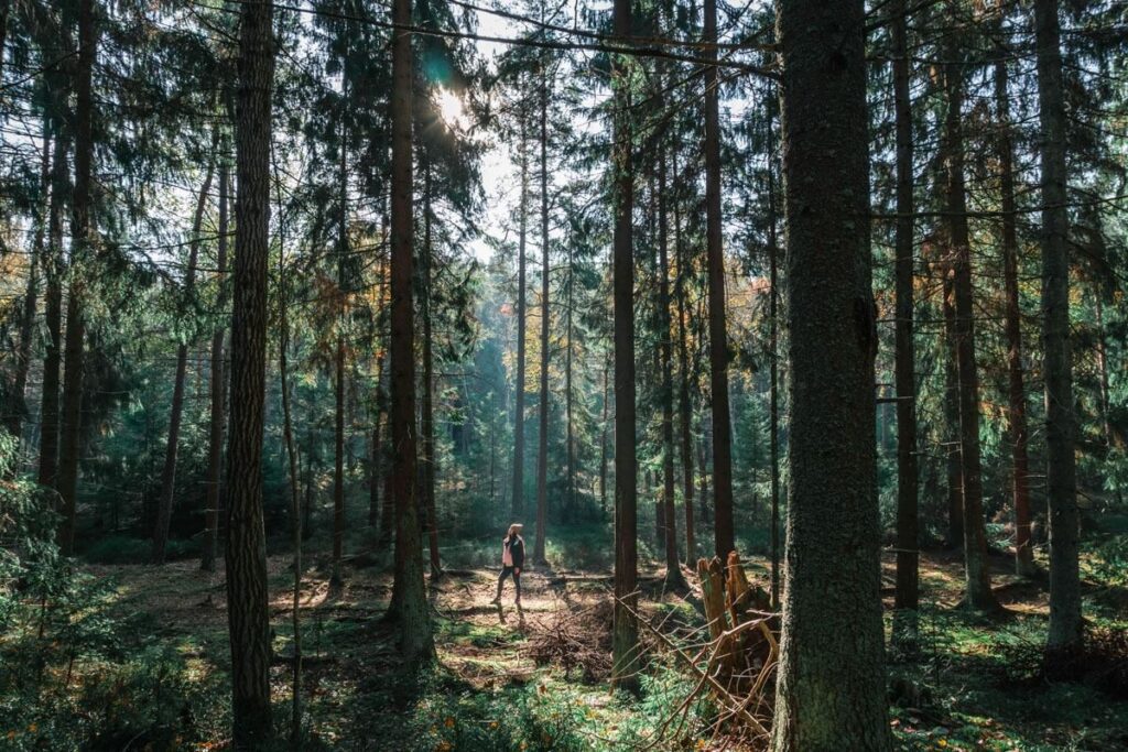Lado positivo del cambio climático