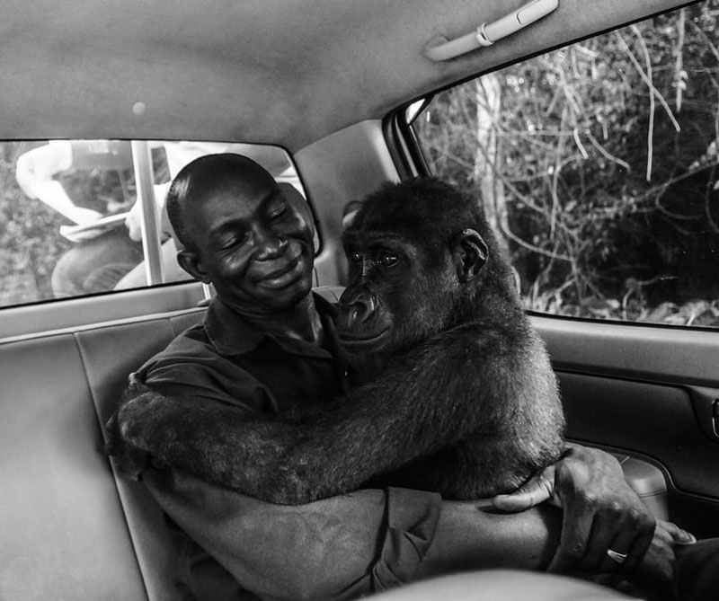 Pikin y Appolinaire. Autor: Jo-Anne McArthur / Museo de Historia Natural de Londres.