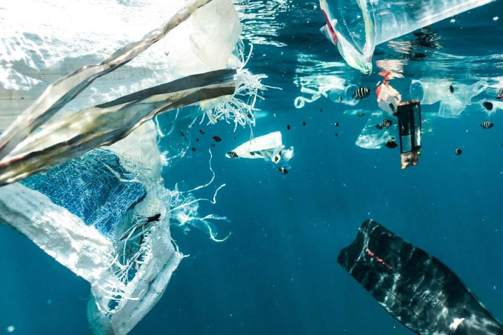 "hoy ya no es cliché hablar de las guerras por el agua" Agua