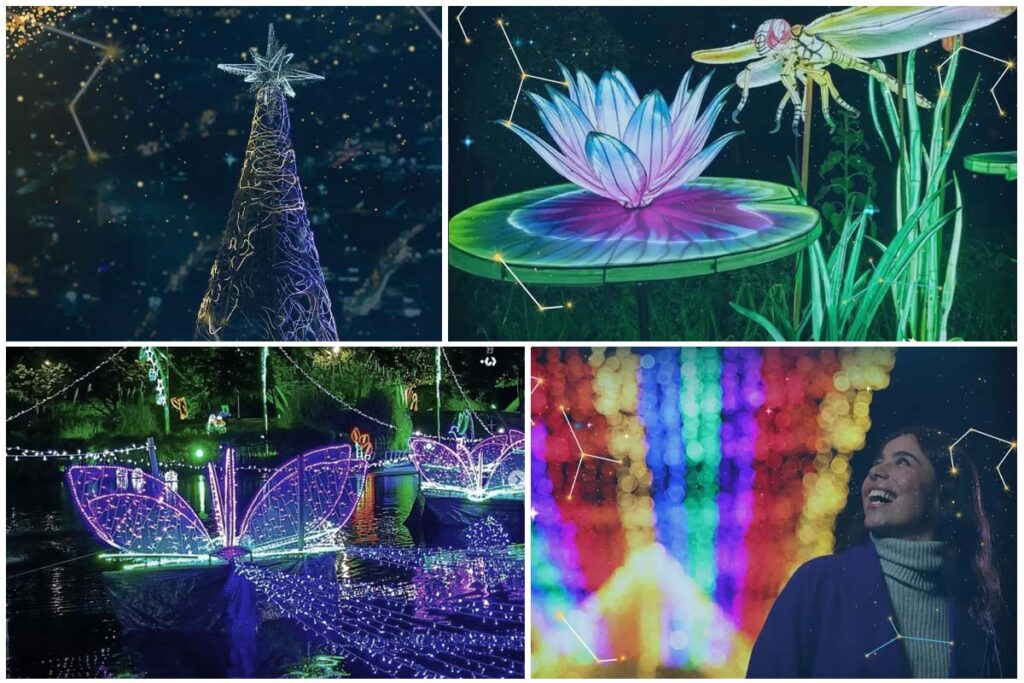 alumbrados navideños, Bogotá, Navidad