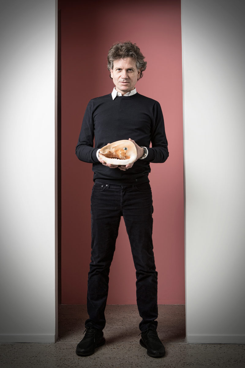 Un recorrido de color con miguel böhmer