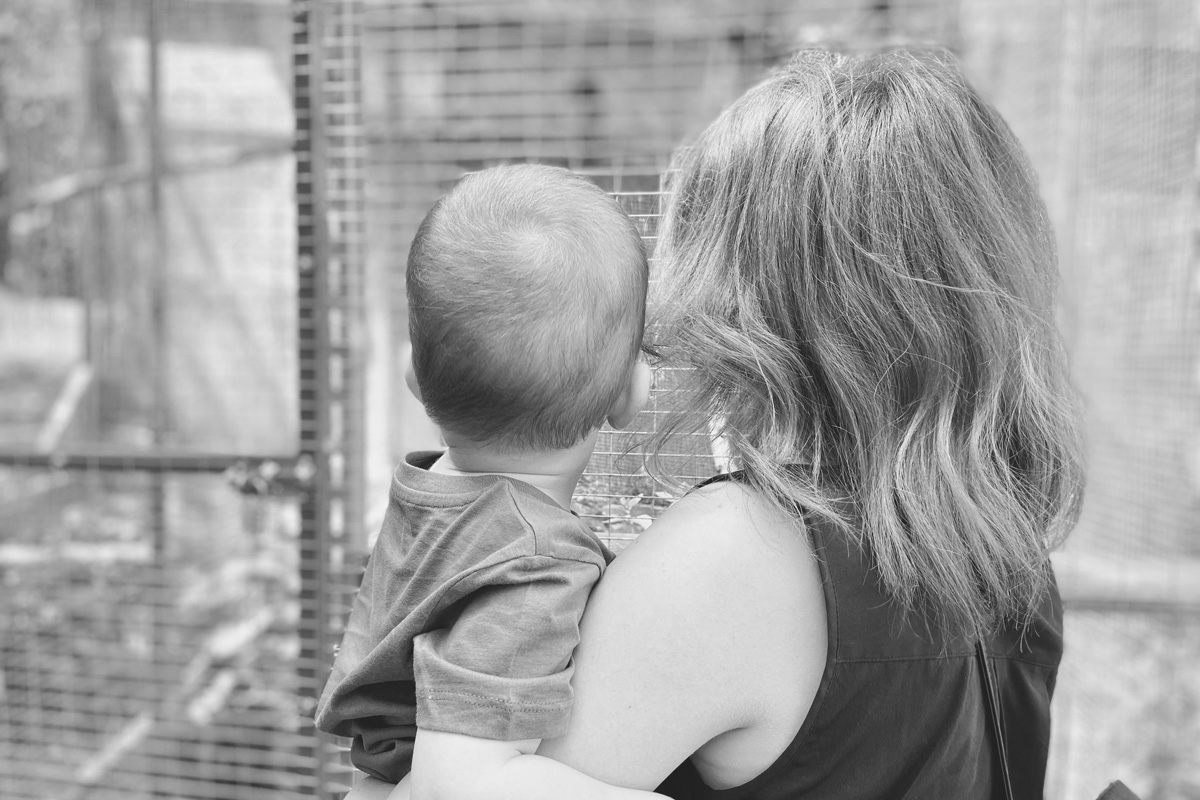 Clara Rojas, Facebook