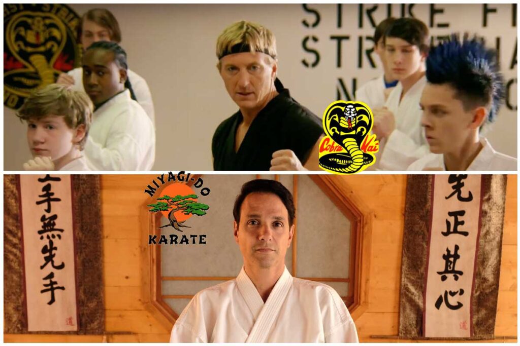 Quiz: ¿pertenece usted a cobra kai o miyagi do? Cobra kai