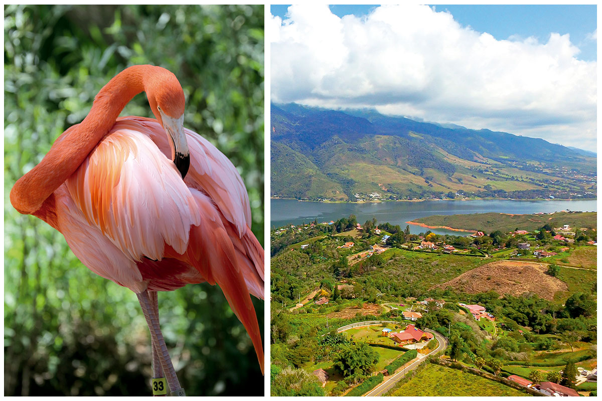 Cali, la sucursal del cielo