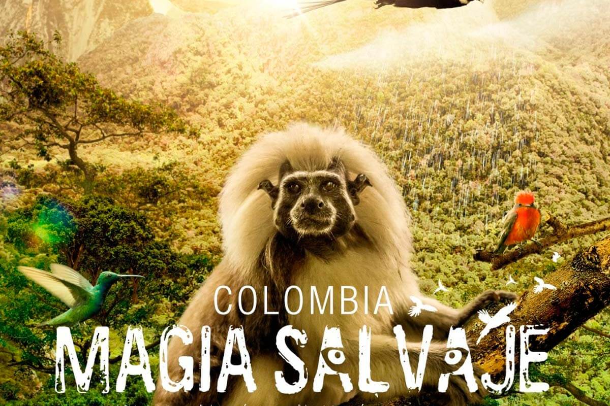 Colombia Magia Salvaje
