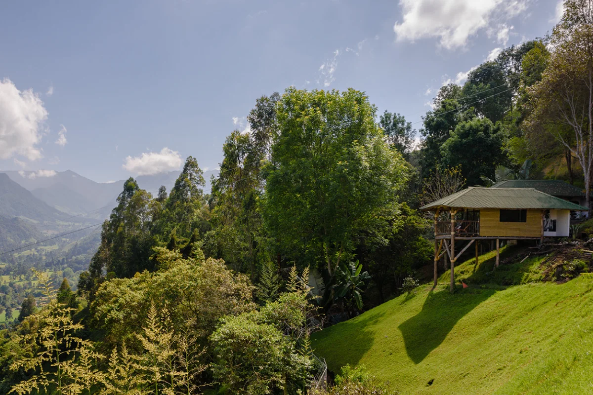 Facebook fincas cafeteras