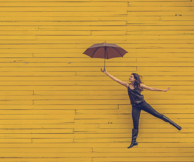 Vea los temas más populares de 2017