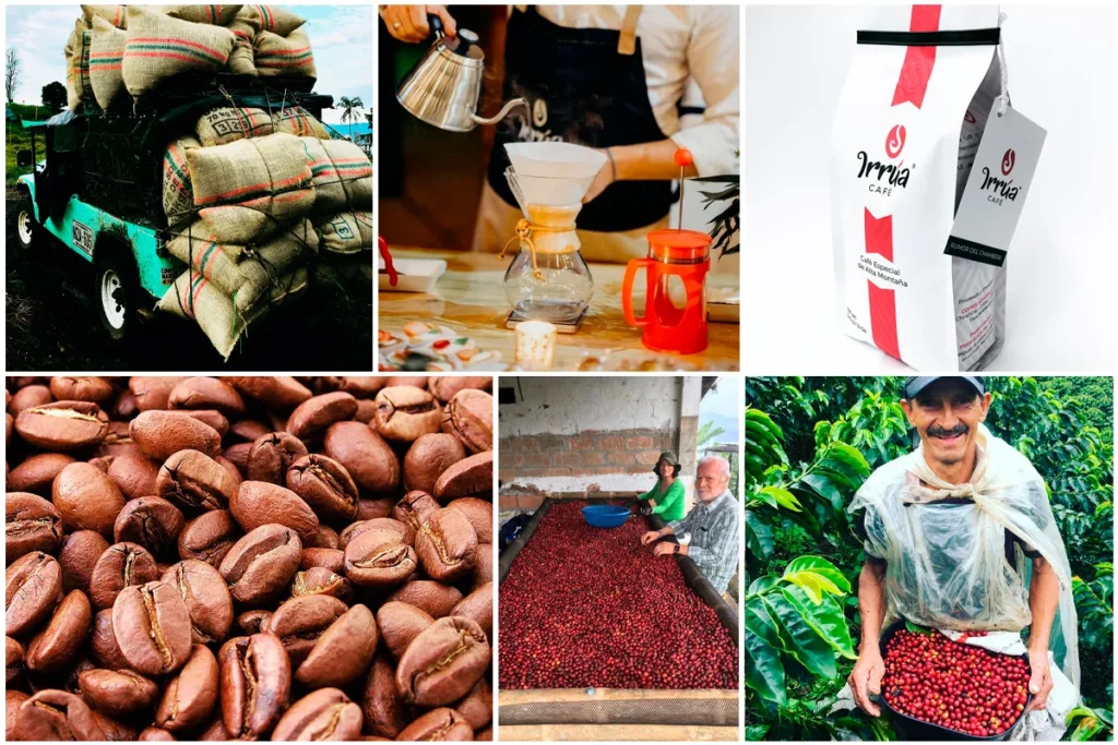 Irrúa, el café excelso de norte de caldas que usted debe probar Cafetales irrúa café