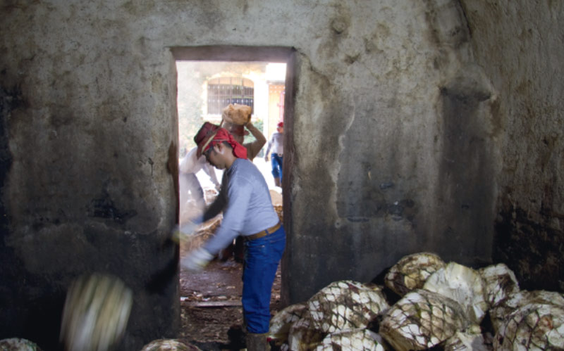 En la tierra del tequila con julio sánchez, creador del tequila don julio