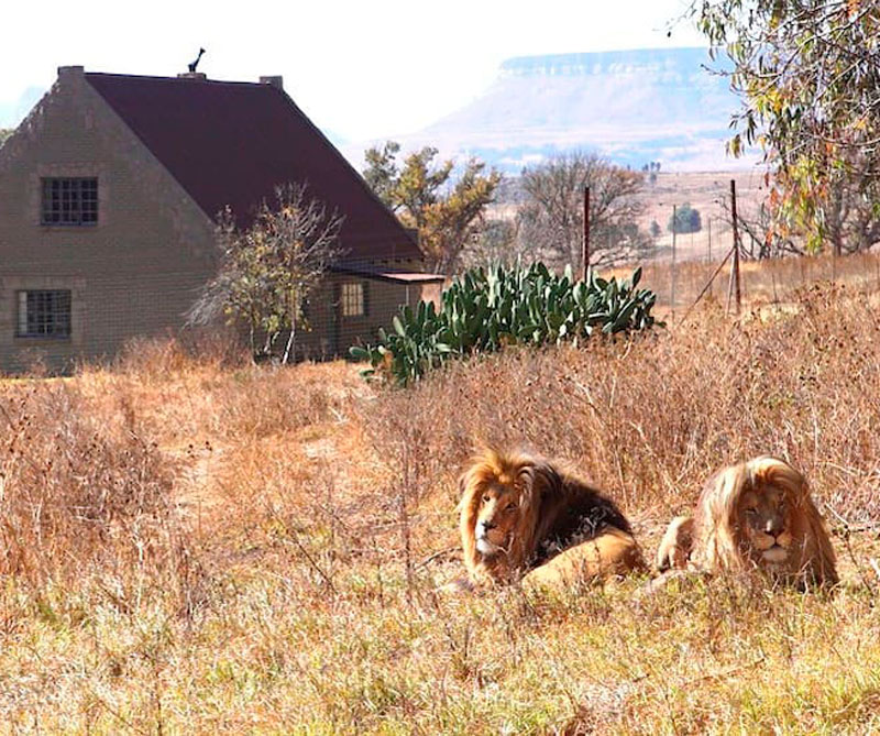 La gran muralla china y los cuatro destinos más extraños para hospedarse