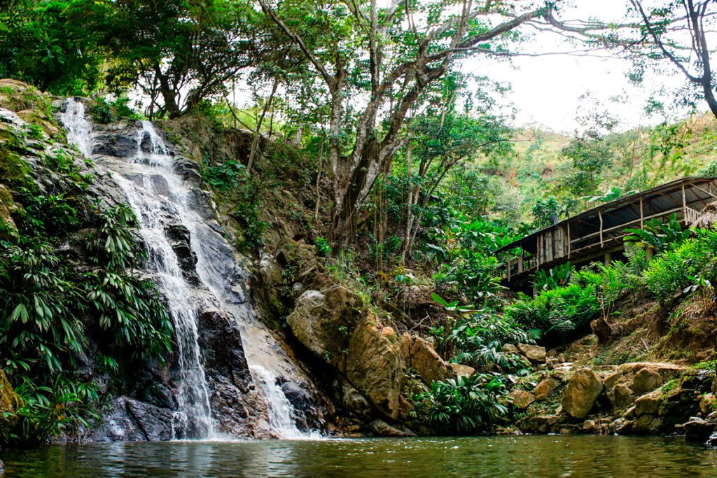 Minca, el refugio natural que sorprende cerca de santa marta Minca