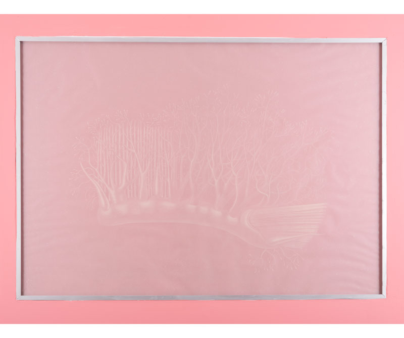 Un recorrido de color con miguel böhmer