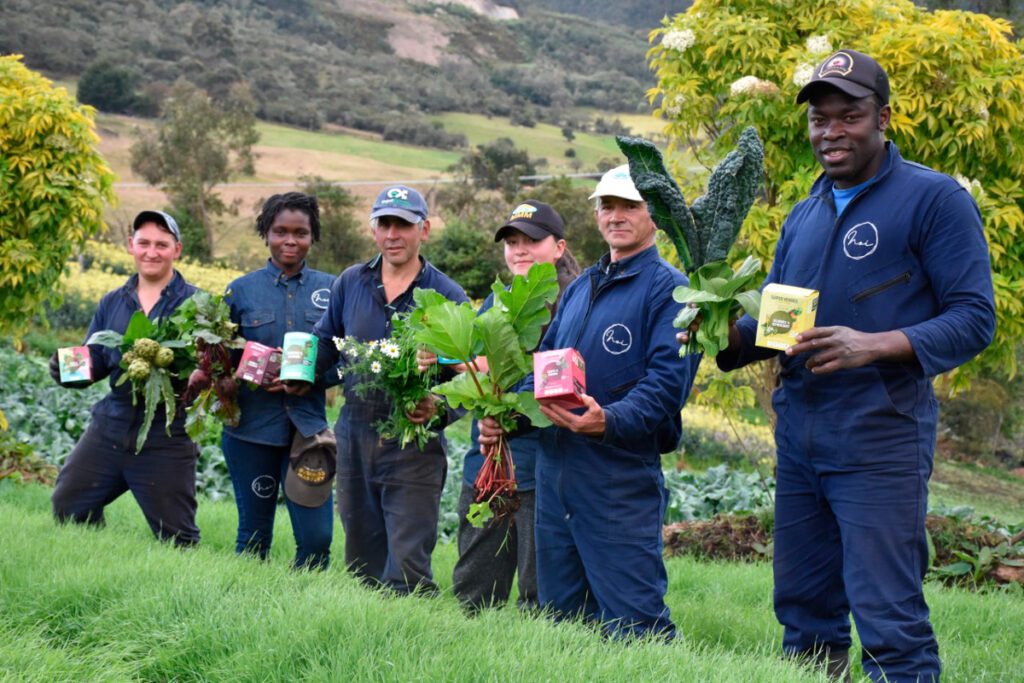 Noi orgánicos, los vegetales y hierbas pulverizadas que duran más de un año Noi orgánicos