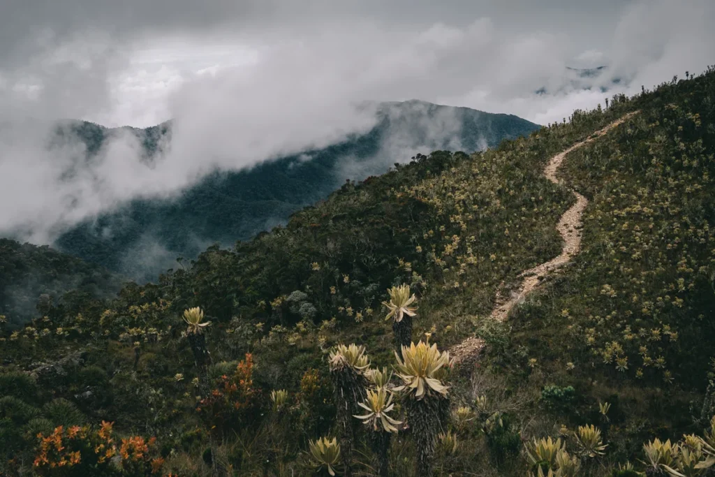Tres páramos para visitar cerca de bogotá Páramos, facebook