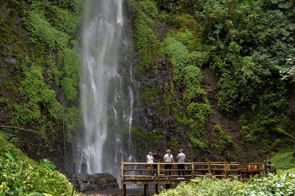 Cinco planes para conectar con la naturaleza cerca de pereira Pereira