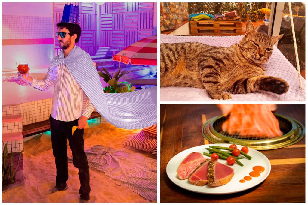 Un café de gatos y otros dos planes para divertirse en bogotá Planes para divertirse en bogotá