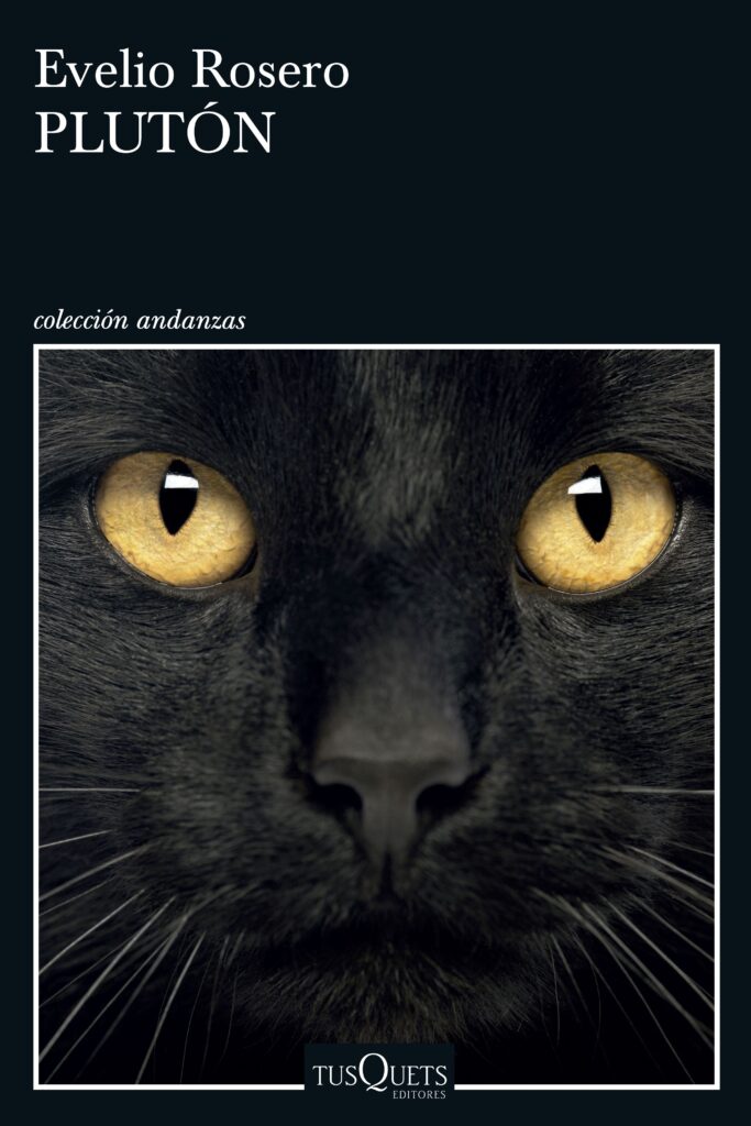 Gatos, Día Internacional del Gato, libro de gatos