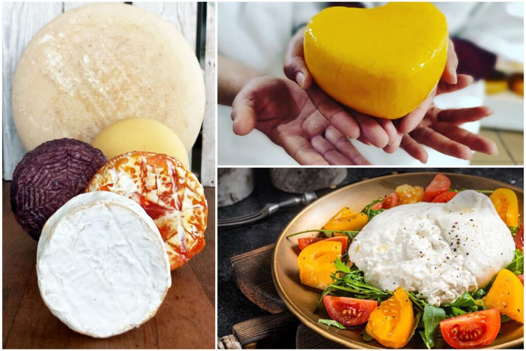 Tres quesos colombianos entre los mejores del mundo, ¿a qué saben?