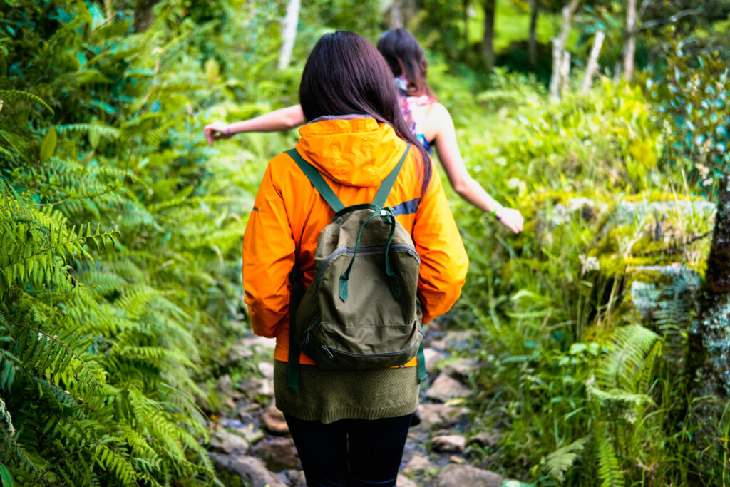 Rosales, planes, Bogotá