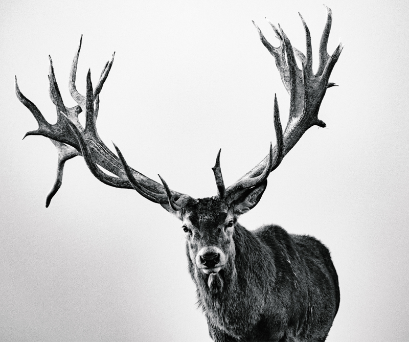 © Adam Pretty, Australia, Shortlist, Profesional, Deportes, 2018 Sony World Photography Awards.