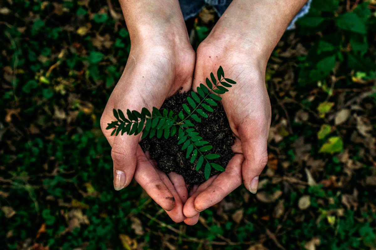 sostenible, Facebook