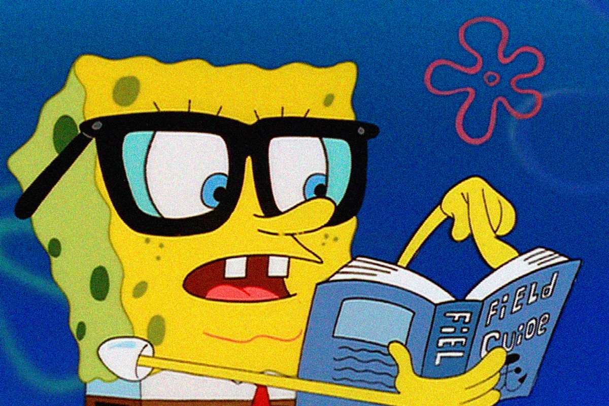 cultura general, quiz