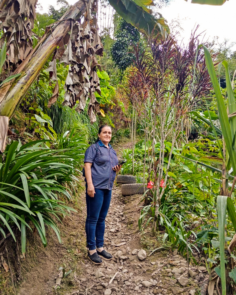 Tostador, jorge eslava,