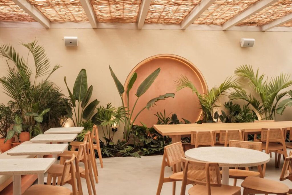 Tropicália coffee, tiendas de café