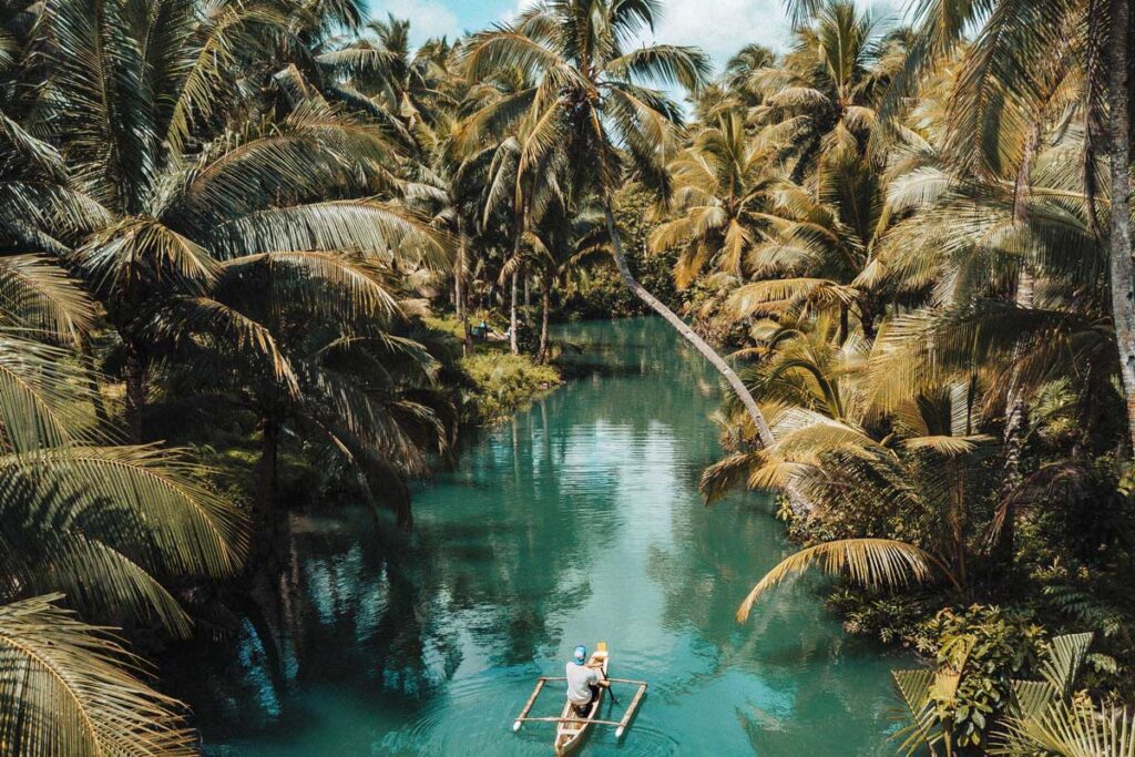 alimentar la creatividad