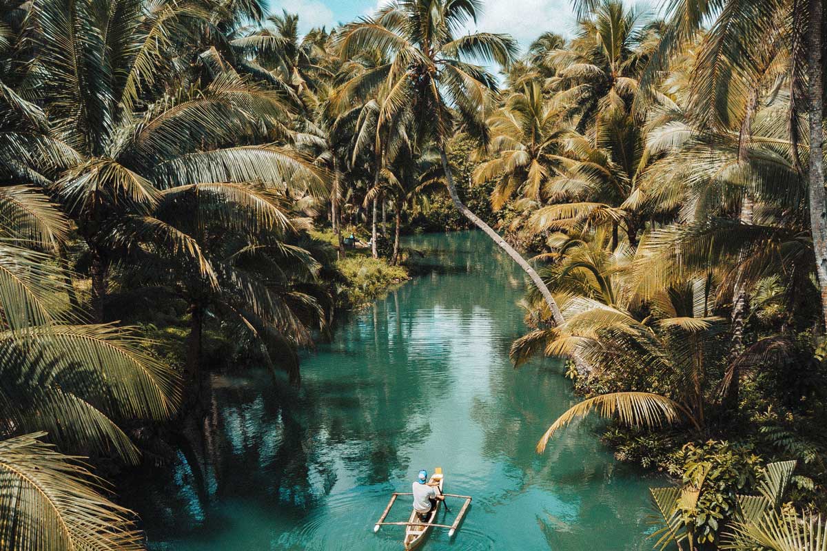 alimentar la creatividad