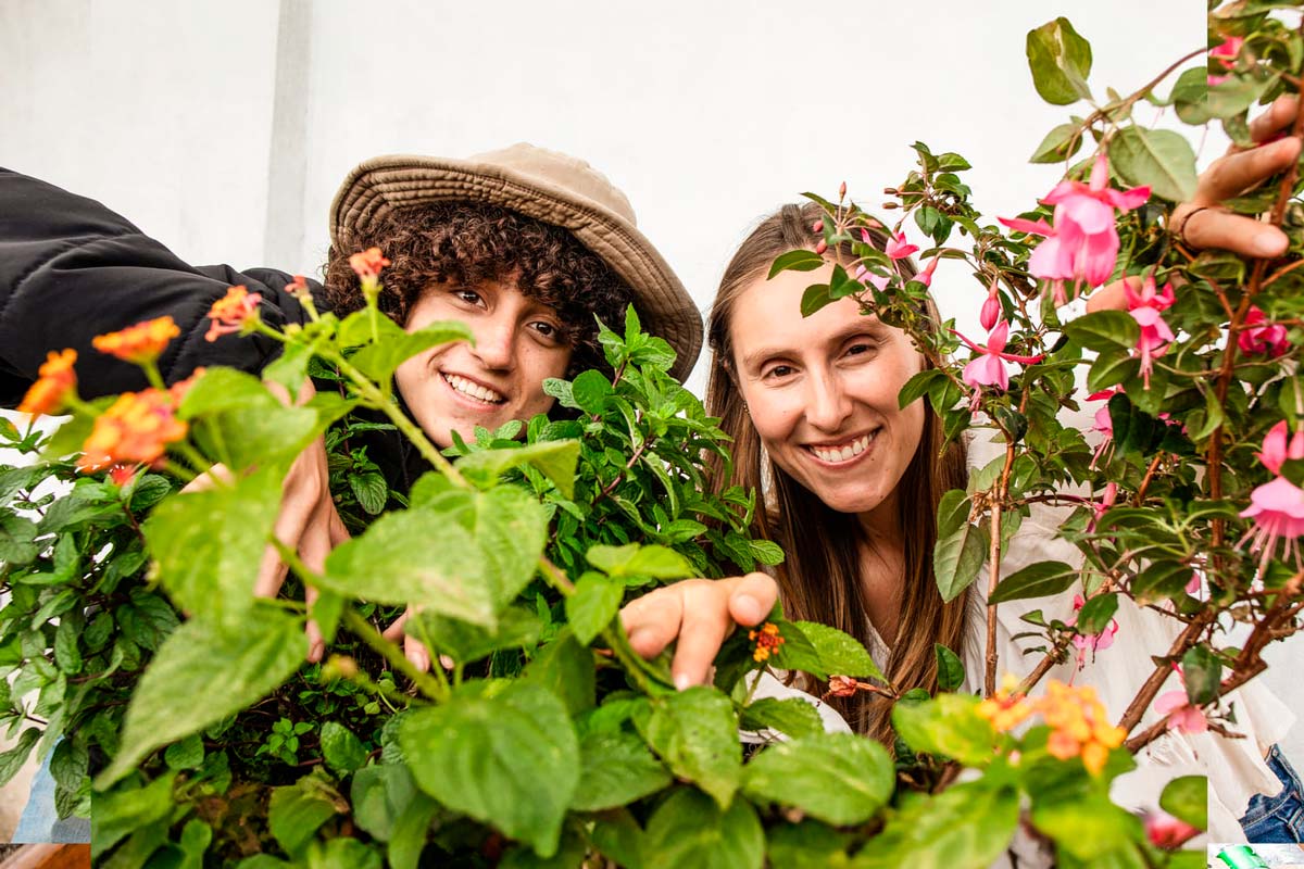 huerta en casa, plantas, WWF, Guía de Plantas