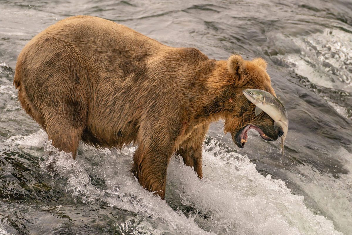 Vea las fotos ganadoras del national geographic traveler 2019 Vea las fotos ganadoras del national geographic traveler 2019