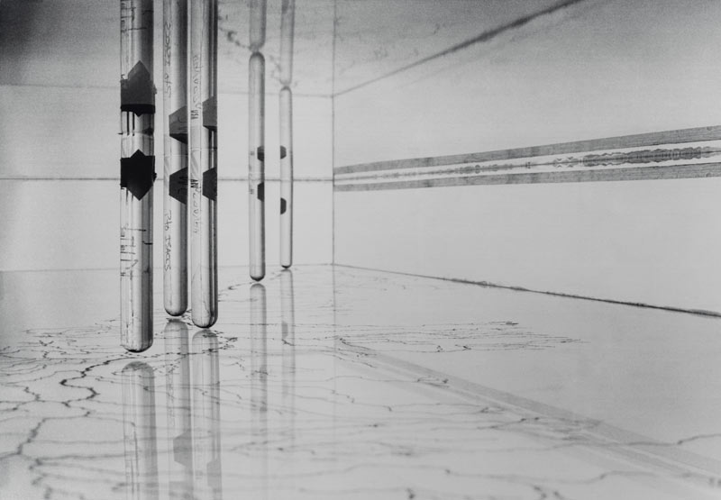 Lenguaje, memoria y medioambiente en la colección de arte de seguros bolívar Lenguaje, memoria y medioambiente en la colección de arte de seguros bolívar