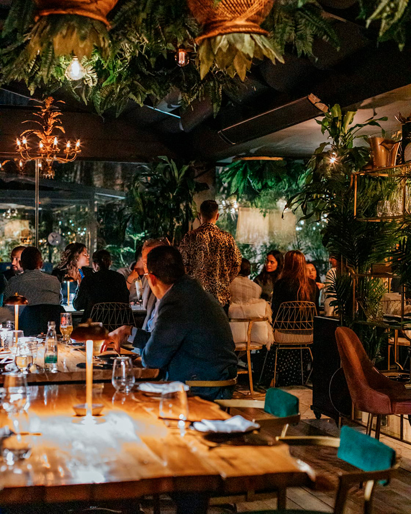 Salvaje: fuego, sushi y cocina japonesa de autor en bogotá Salvaje