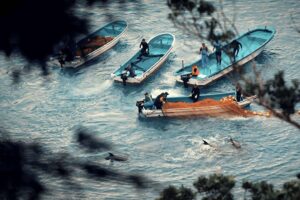 Seaspiracy: lo que debe saber sobre el documental del que todos hablan