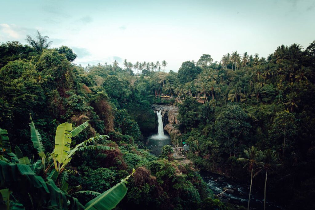 La selva del amazonas, un lugar para meditar sobre el pasado Selva