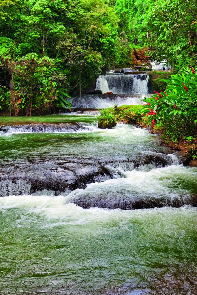 Jamaica, un paraíso de bellezas naturales para descansar