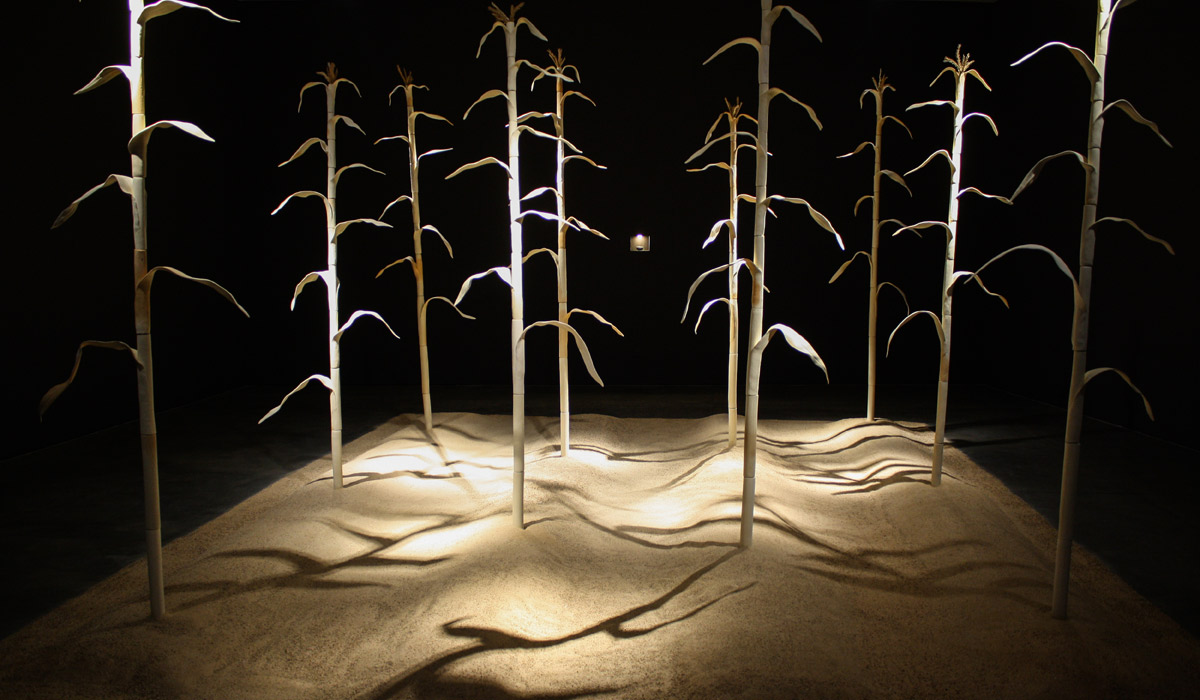 Siembra_foto_alexis_henao_1200x700