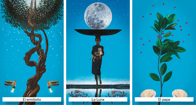 Los tres arcanos mayores: el tarot de la biodiversidad en el instituto humboldt