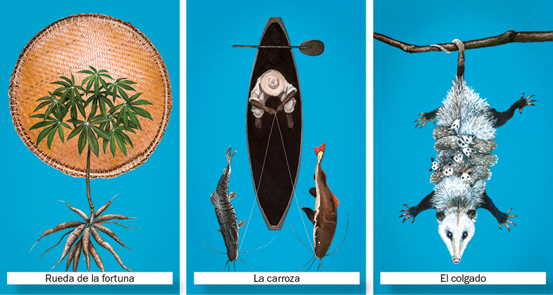 Los tres arcanos mayores: el tarot de la biodiversidad en el instituto humboldt