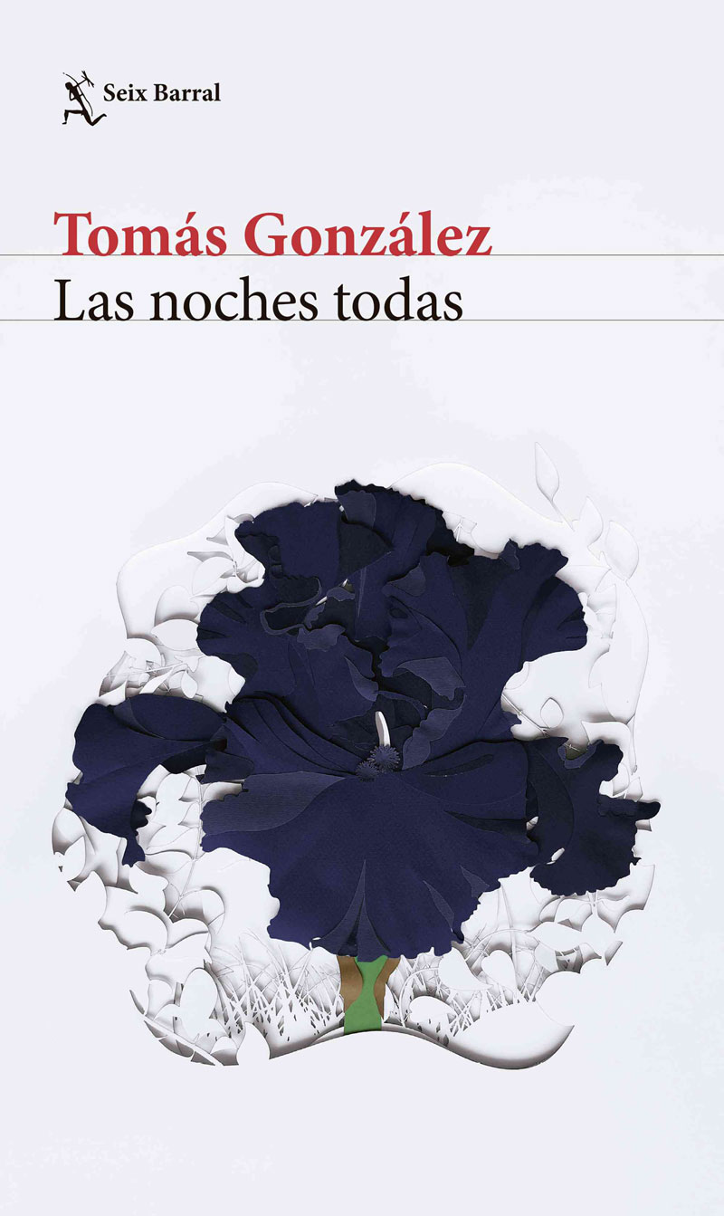 Las noches todas: la nueva novela de tomás gonzález