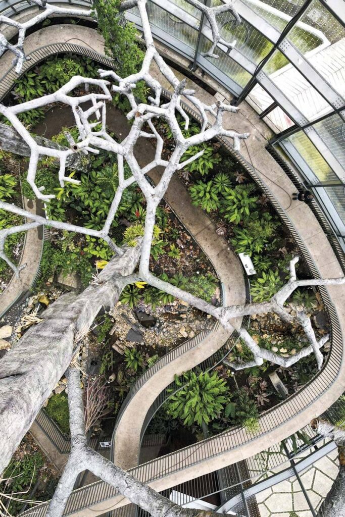 El tropicario más grande de sudamérica está en bogotá