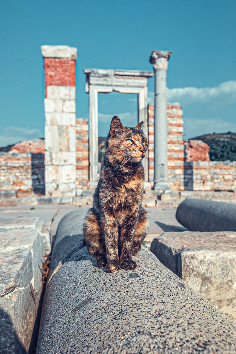Turquía: un viaje por estambul, capadocia y éfeso Turquía